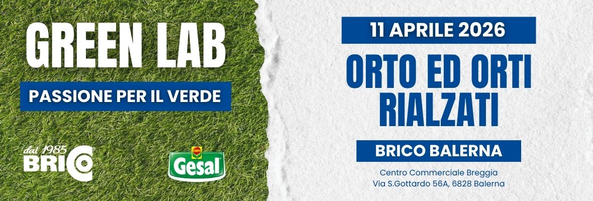 Workshop Orto e Orti rialzati